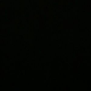 Meet your Posher, Leila